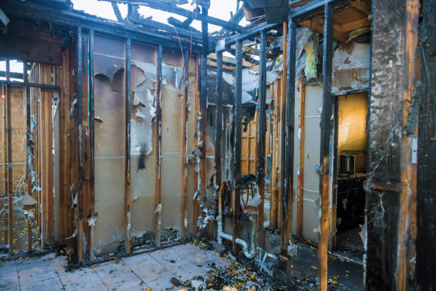 Professional Smoke Damage Removal technician working in Crystal Lakes, OH